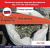 Каменная крошка зеленая фасованная фр. 5-10 мм (25 кг мешок) ОФ с линейкой Каменная крошка зеленая фасованная фр. 5-10 мм (25 кг мешок) ОФ с линейкой